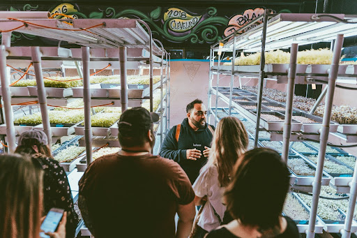 Tour group exploring the urban farm's vertical growing system for fresh produce.