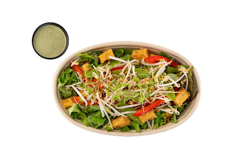 A vibrant vegan bowl from Balance Pan-Asian Grille featuring chickpeas, fresh vegetables, and seasonal sprouts.
